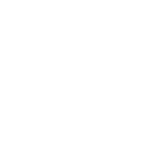 Freedom Ranch Veterans Foundation logo
